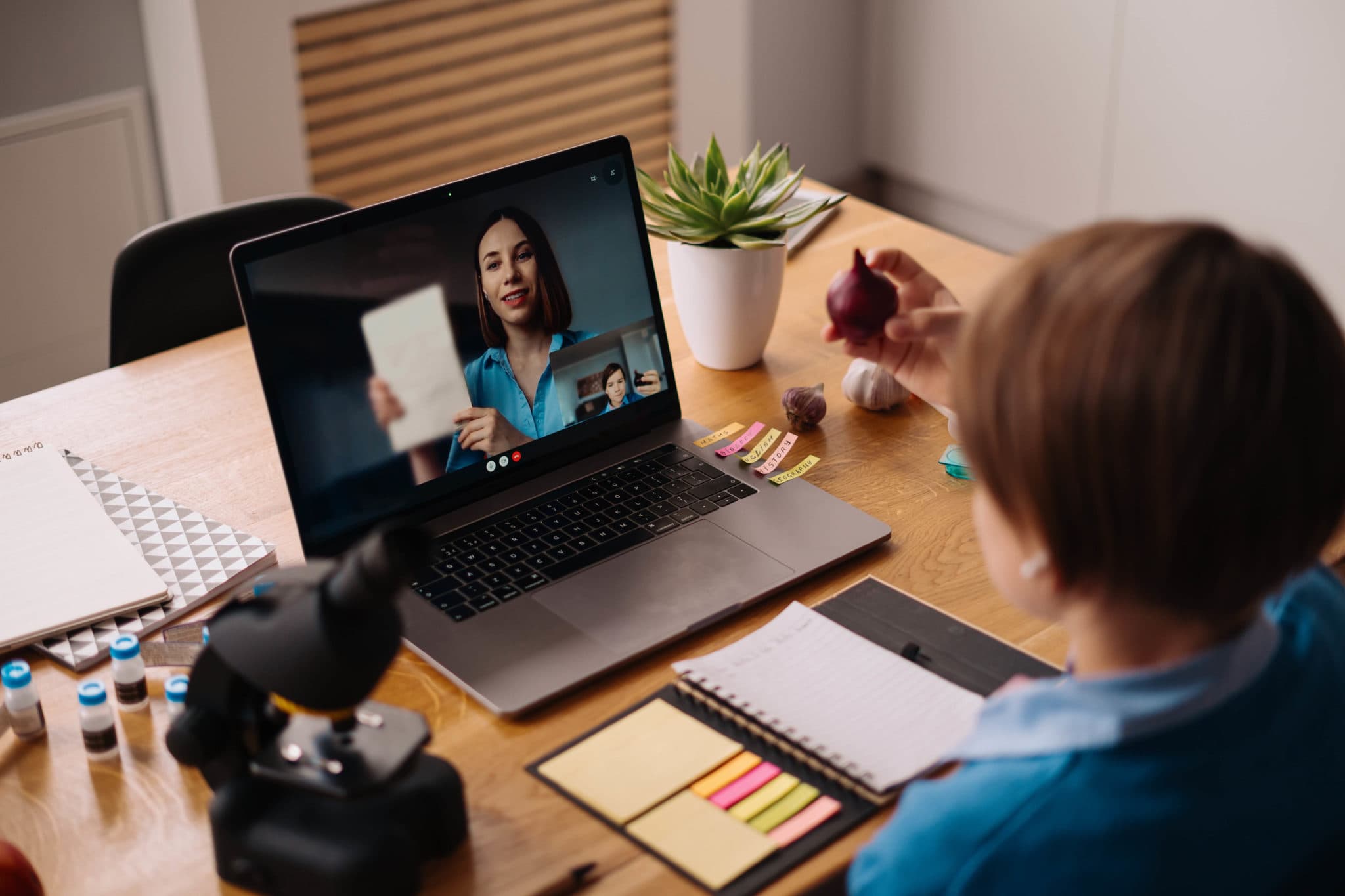 Individual Classes in an Online School: Advantages and Disadvantages Individual Classes in an Online School: Advantages and Disadvantages
