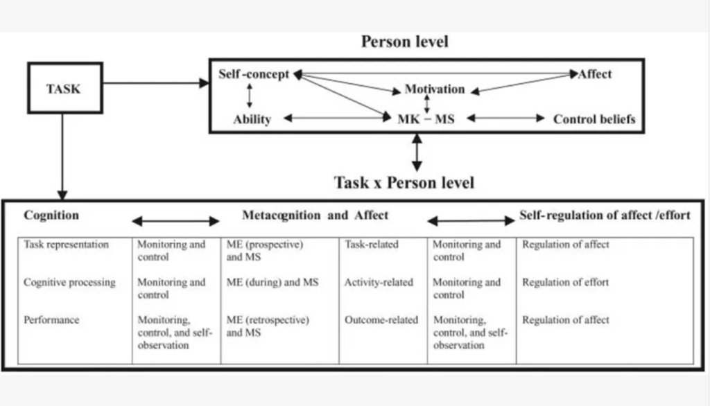 Efklides Model of Self-Regulated Learning