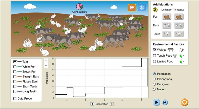 Biology Online Lab - Learning ABout Ecosystems